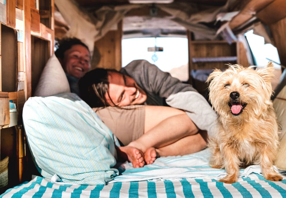 Camping mit Hund in Salzburg, Altenmarkt im Pongau