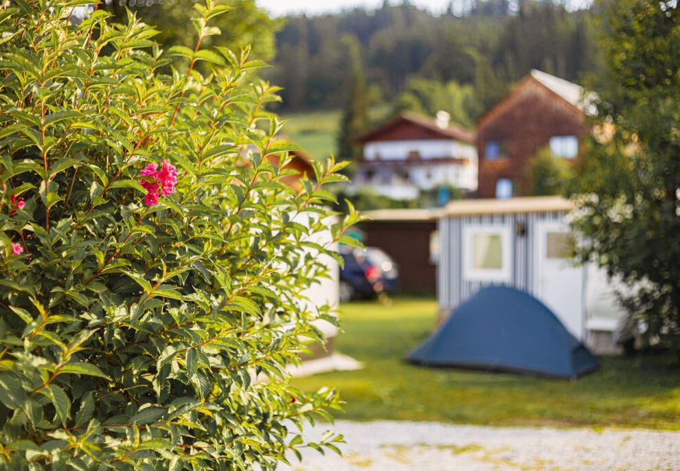 Campingplatz in Salzburg, Campingurlaub in Altenmarkt im Pongau